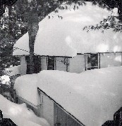 Camp